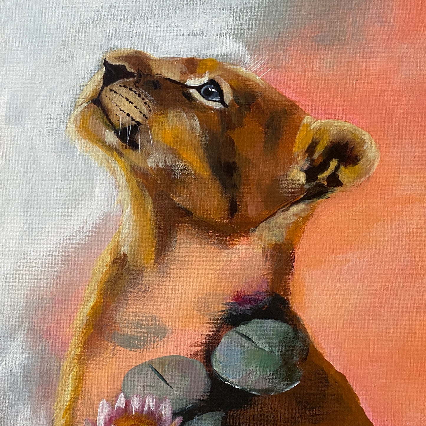 Lion‘s Pride