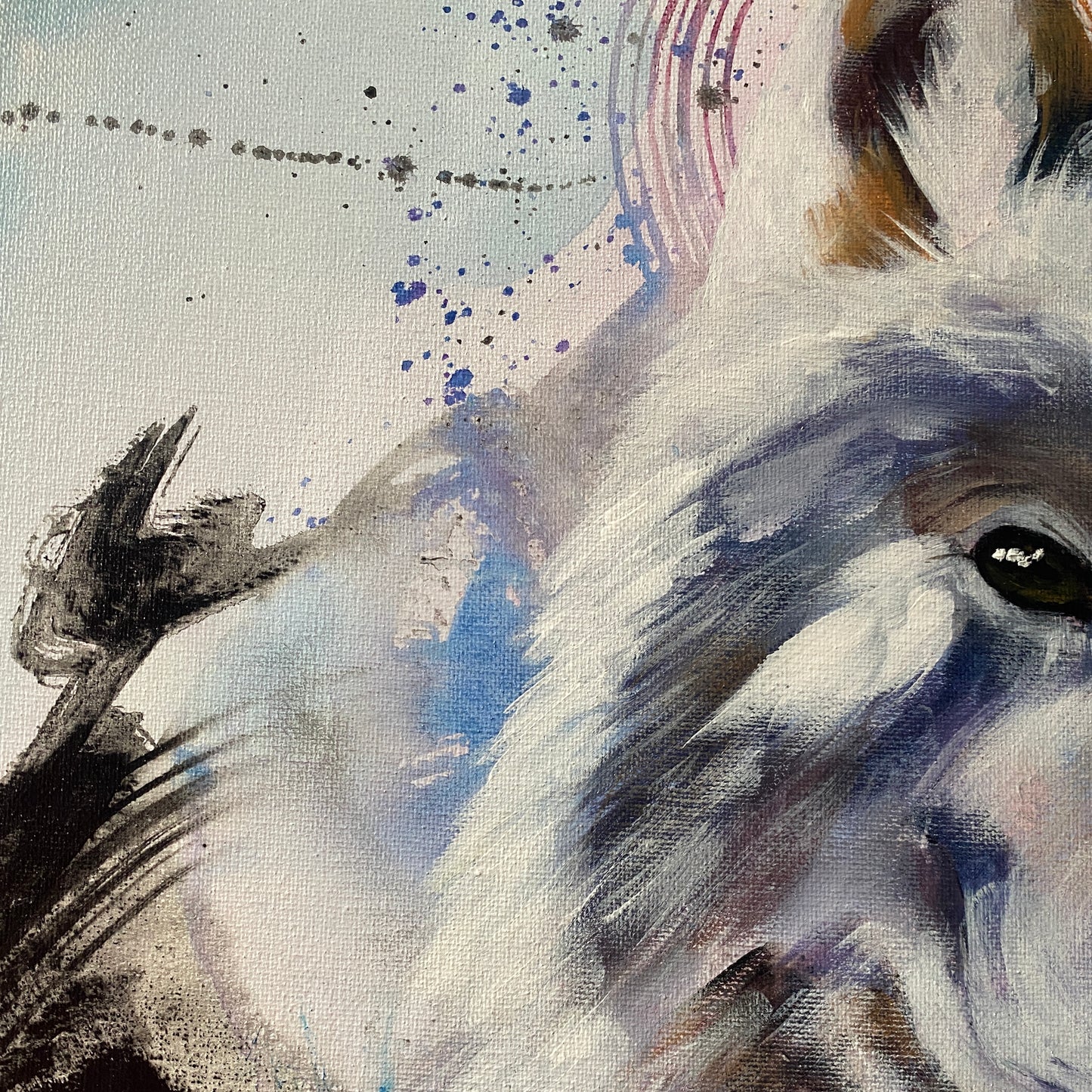Heart of a wolf