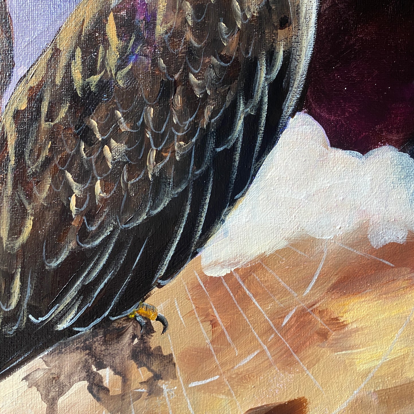 Eagle‘s gaze